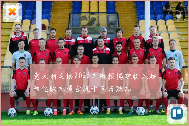 意大利足协2025年财报揭晓收入超两亿欧元盈余近十五万欧元